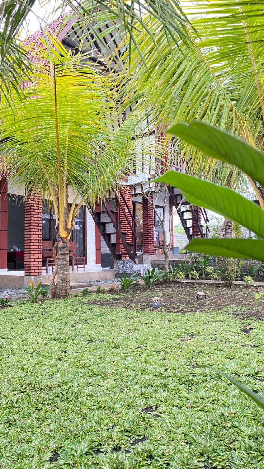 Alen'S Stay&Surf Airsatang Exterior foto